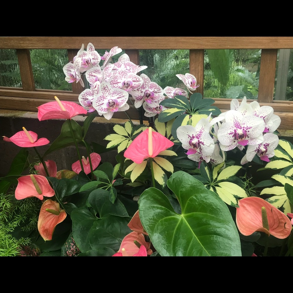 Meet your Posher, Annamaria